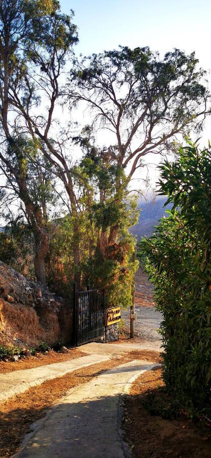 Casa Ollagua Hotel Vicuna Luaran gambar