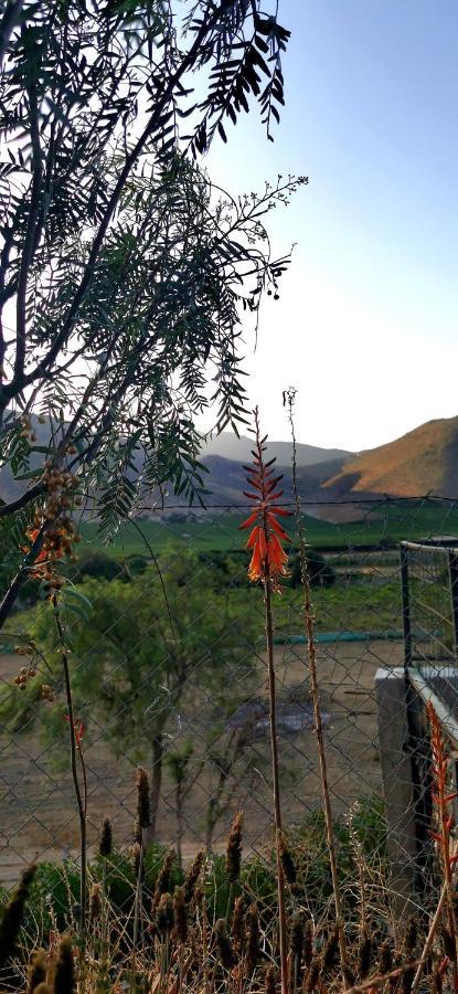 Casa Ollagua Hotel Vicuna Luaran gambar